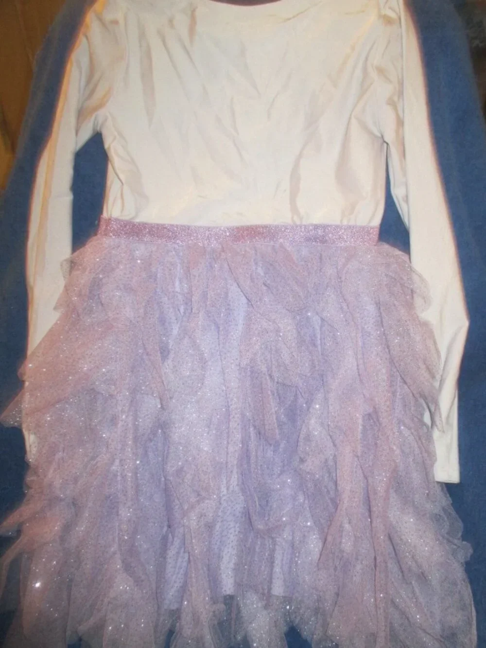 Disney Princess Tutu Dress 10-12 Girls Long Sleeve Tulle Purple